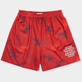 thumbnail image 1 of Pantalones cortos de deporte para hombre, Shorts masculinos de estilo informal, con malla transpirable, a la moda, para baloncesto, 1 of 5
