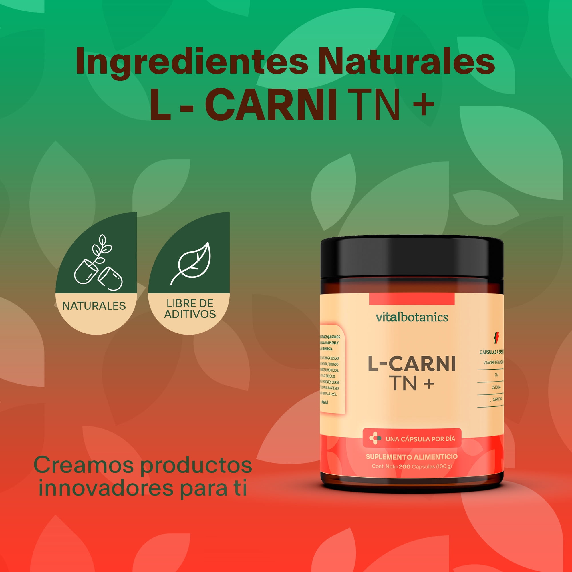 Suplemento CLA L-Carnitina Cetonas Vinagre de Manzana 60 Capsulas  VITALBOTANICS