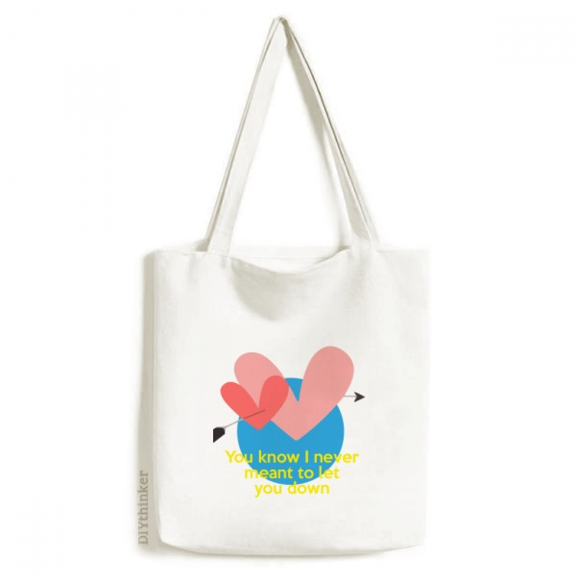 English Classic Emotional Lyrics Disappointed Tote Canvas Bag Shopping Satchel Casual Handbag