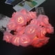 thumbnail image 4 of Cadena de luces LED de color rosa a batería de 3 m, 20 LED, 6 cm de diámetro, PE (rosa rosa), 4 of 5