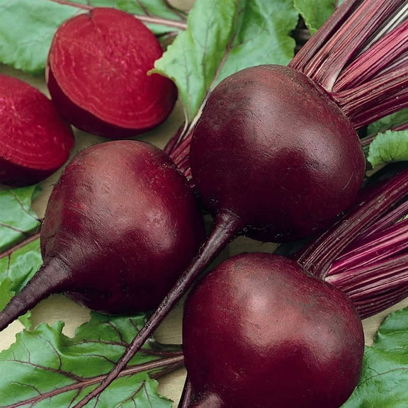 Mountain Valley Seed Company Detroit Dark Red Beet Seeds, Non-GMO
