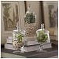 thumbnail image 2 of Home Essentials Terra Collection Assorted Footed Glass Canisters With Lids (Set of 3), 2 of 5