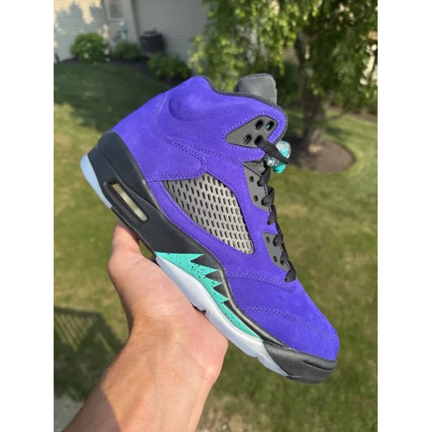 Size 9 - Jo r-dan 5 Retro Alternate Grape 2020 DS brand new