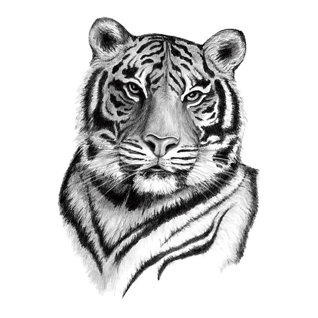 Pegatinas de tatuajes, tatuajes temporales para hombres, mujeres, adultos, hombres y mujeres, tatuajes temporales en el brazo, tatuajes falsos, pasta de tatuajes calientes.