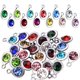 thumbnail image 1 of Aylifu 24 Colgantes De Cristal Con Diamantes De Imitación Y Piedras De Nacimiento En Forma De Gota De Agua Para Hacer Joyas, Collares, Pulseras (12 Colores), 1 of 1