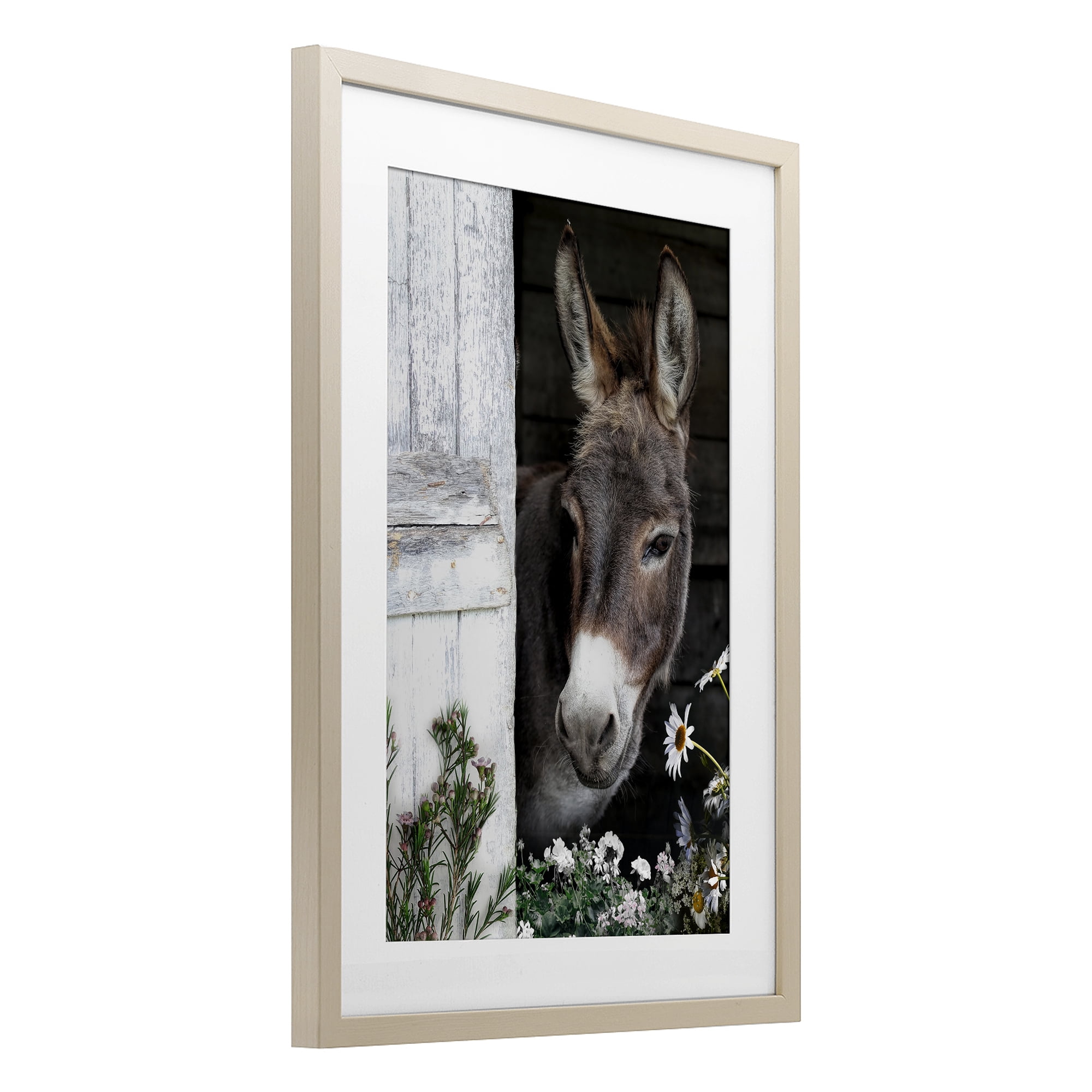 Stupell Industries Gentle Donkey Peering from Barn Birch Framed Print Under Glass, design by CAD Designs