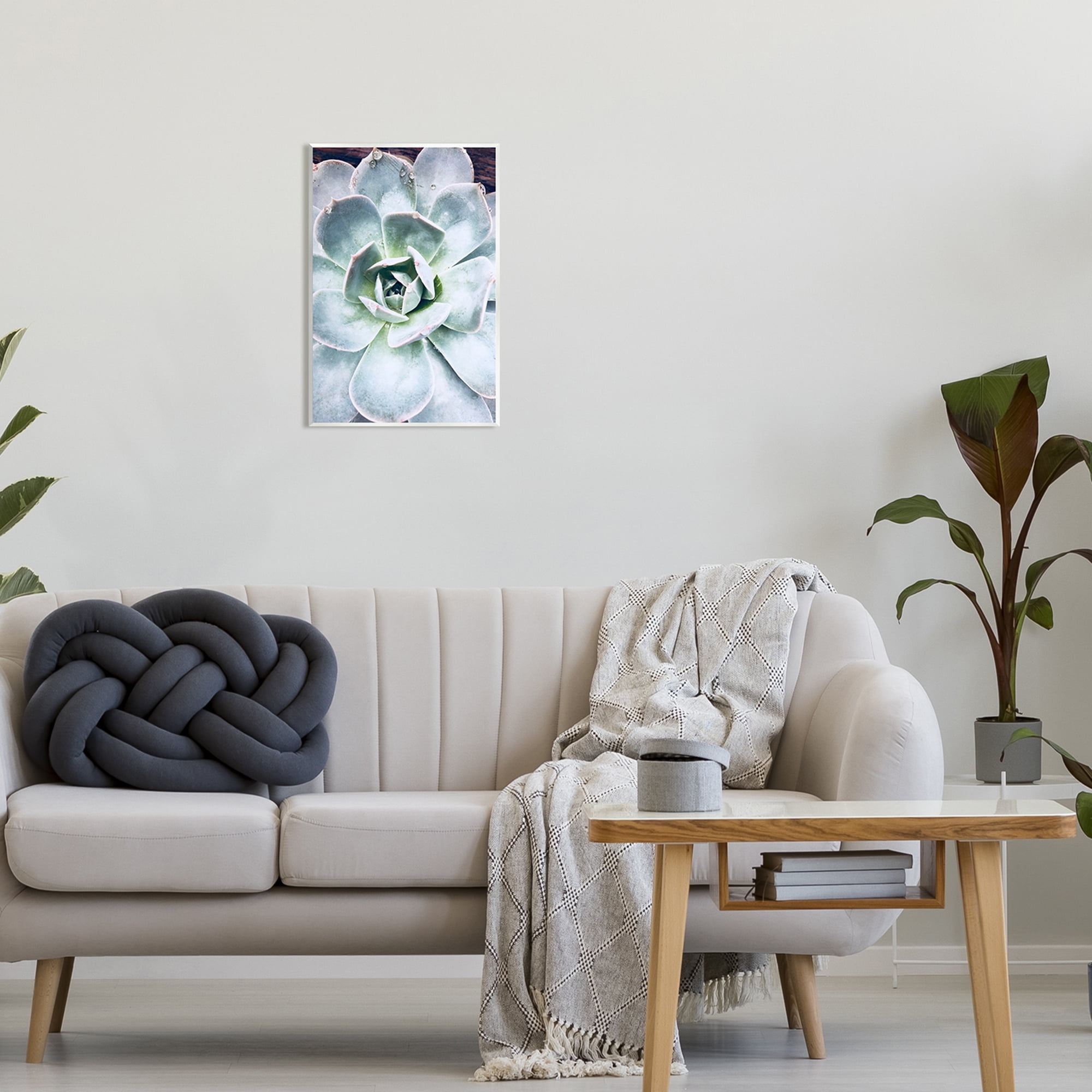 Stupell Industries Succulent Leaves Water Droplets Botanical & Floral Photography Unframed Art Print Wall Art