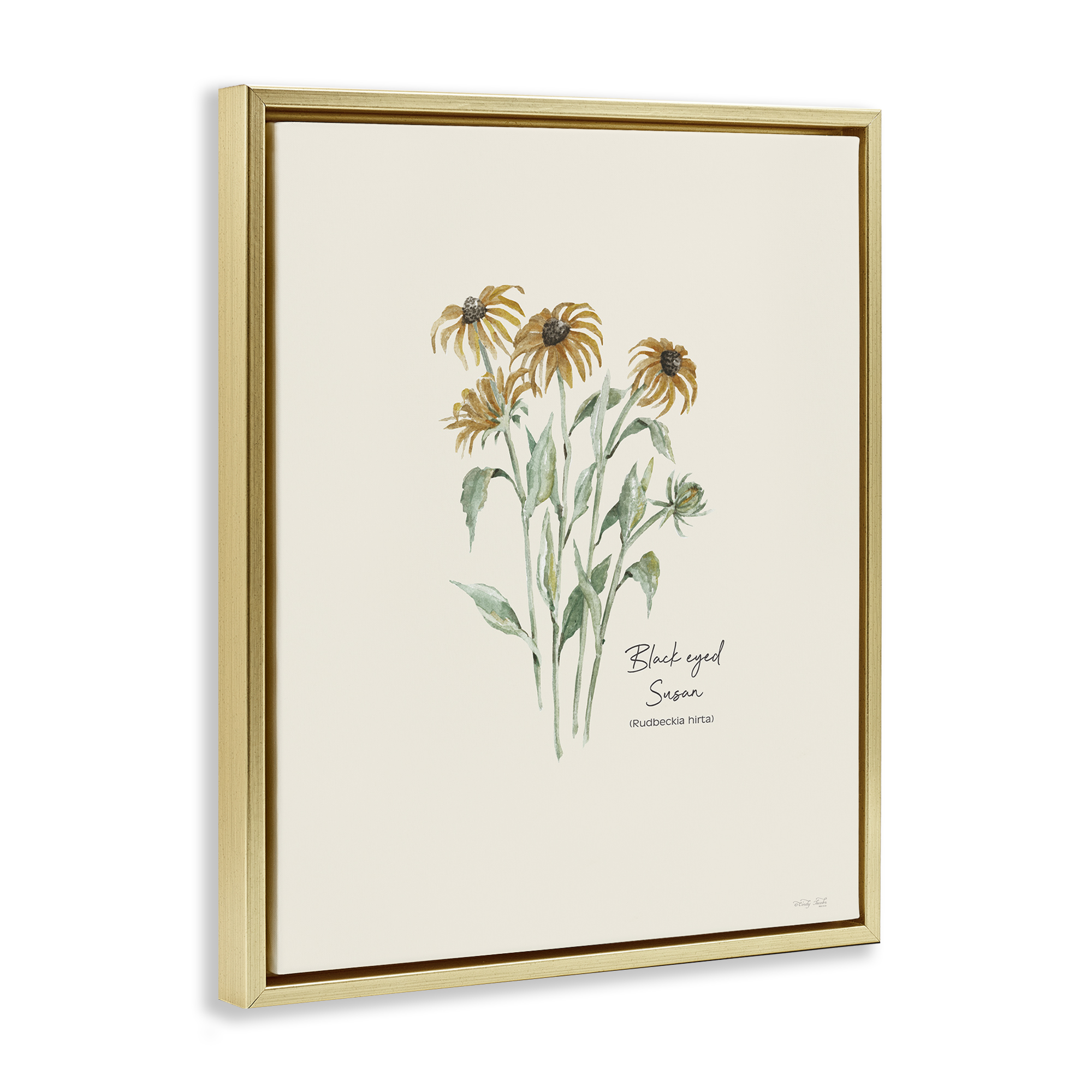 Stupell Industries Black Eyed Susans Botanical & Floral Painting Gold Floater Framed Art Print Wall Art, 17 x 21