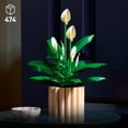 thumbnail image 4 of LEGO Botanique La Fleur de Lune 11504, 4 of 8