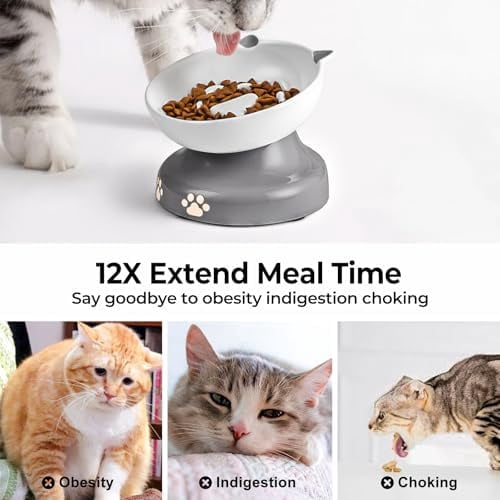 Slow Feeder Cat Bowl, Ceramic Elevated Cat Bowl Tilted Design Slow Feeder for Dog and Cat for Dry and Wet Food, Gray