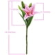 thumbnail image 3 of Paquete de 5 flores artificiales de lirio, flores falsas de tacto real para bodas, fiestas en casa, jardín, tienda, decoración de oficina, flores de imitación de lirio de plástico. Ormromra CZJJ-HQ52-2, 3 of 6
