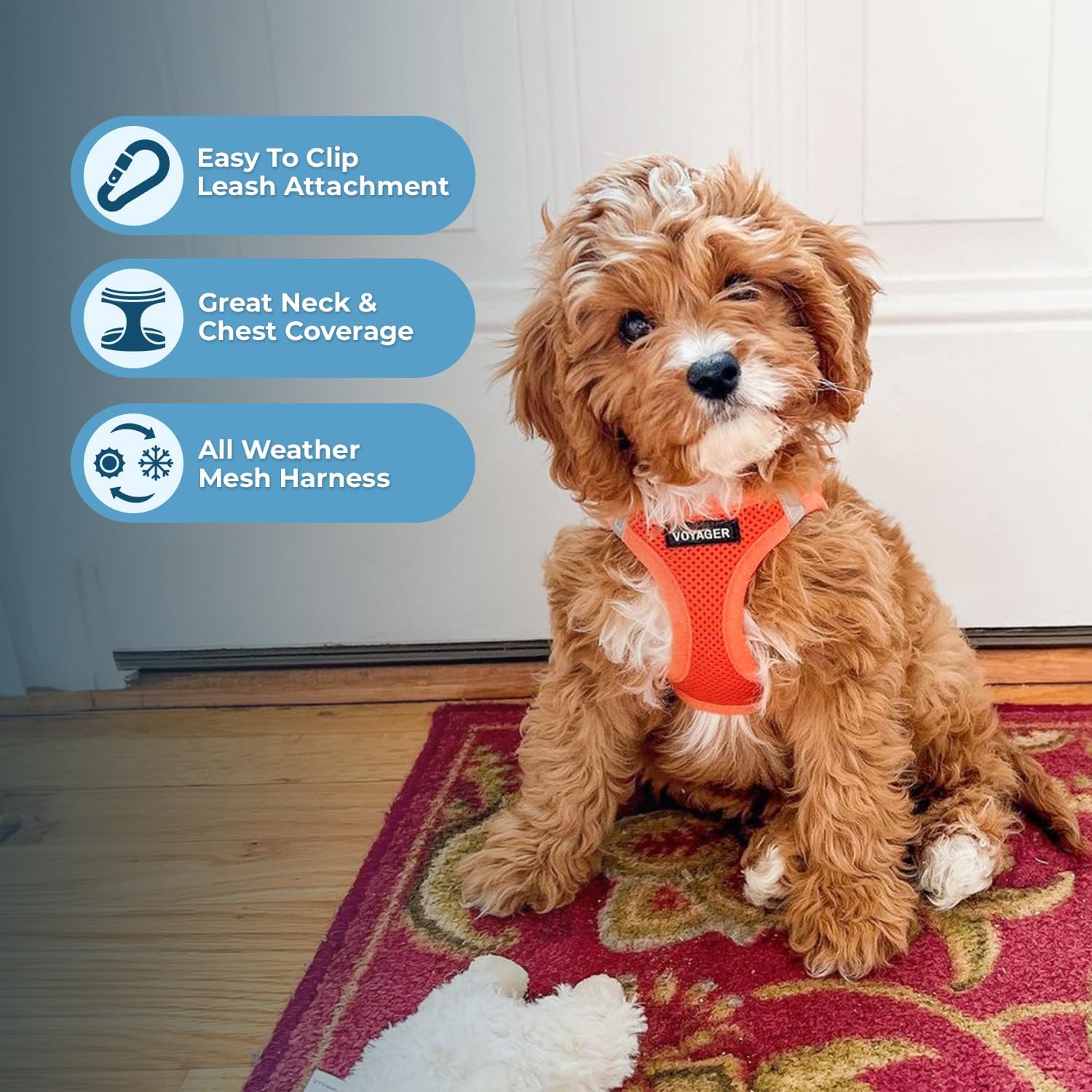 Voyager Step-In Air All-Weather Mesh Harness & Leash Combo photo 6