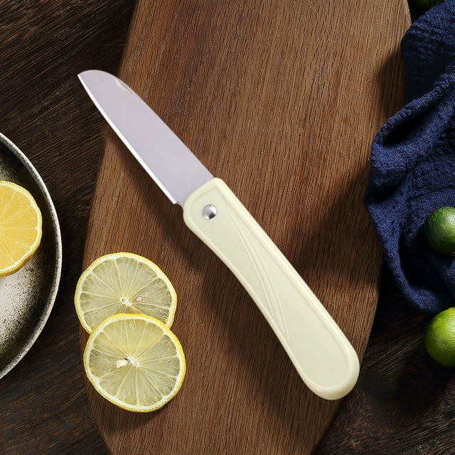 Qiweii Couteau Pliant en Acier Inoxydable pour Fruits, Mini Couteau Exfoliant Portable, Couteau Multi-Usage pour Extérieur et Maison