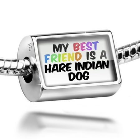 Neonblond Charm My best Friend a Hare Indian Dog from Canada, United States 925 Sterling Silver (Best Place For Indians In Canada)