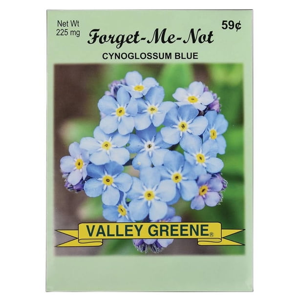 Set de 50 sobres de semillas de nomeolvides Valley Greene
