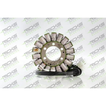 Ricks Motorsport Electric - 21-315 - Stator