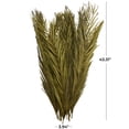 thumbnail image 3 of 43" Tall Dried Plant Natural Foliage Palm Leaf Bouquet with Grass and Feather Inspired Stems, by DecMode, 3 of 7