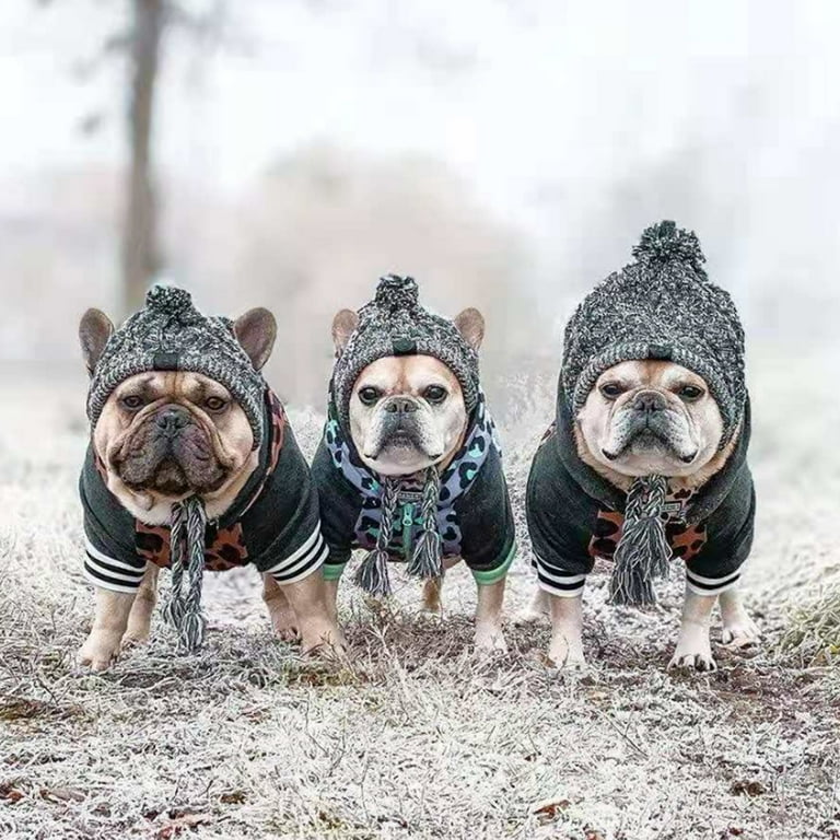 Pug hats for dogs top