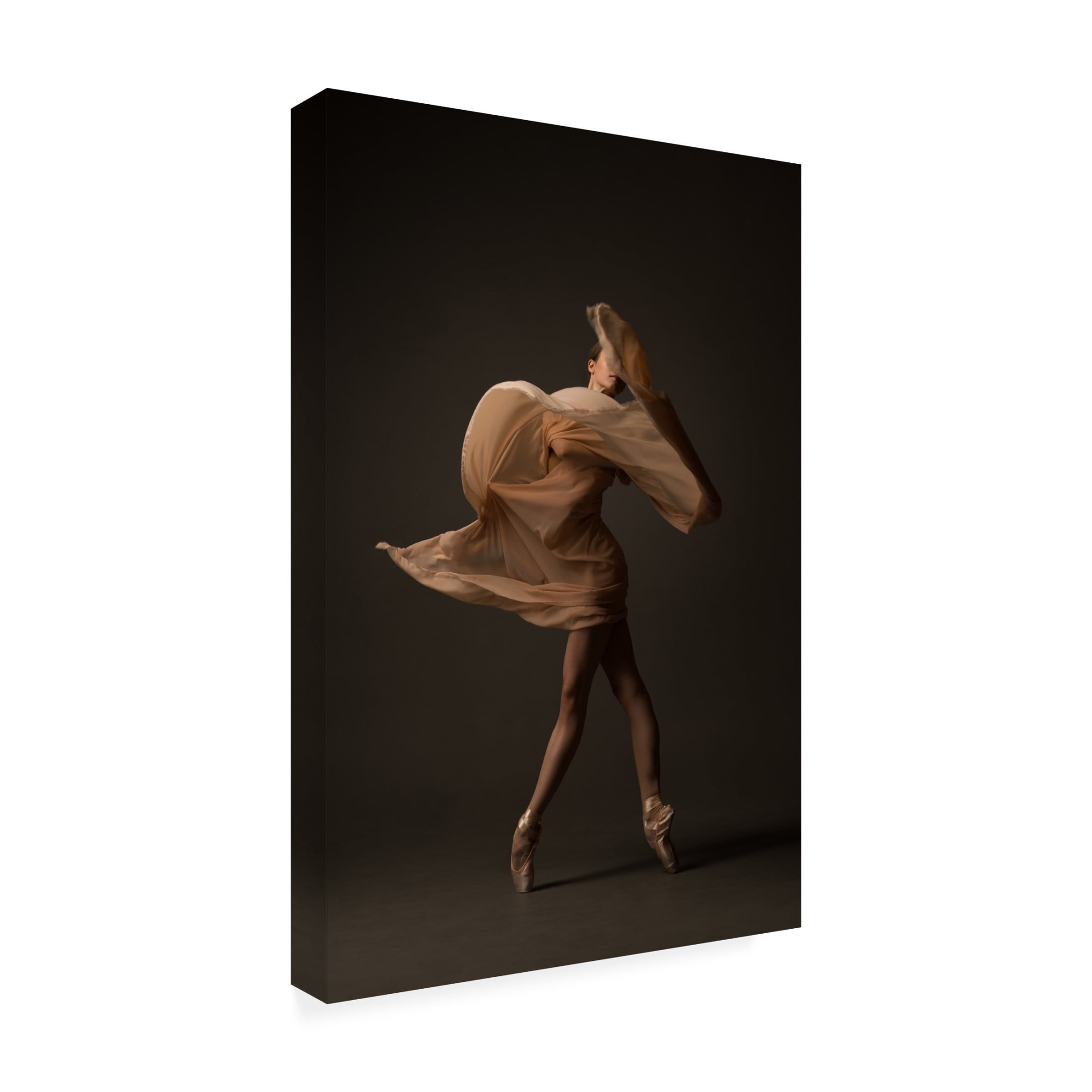 Natalya Sleta 'Stranger' Canvas Art - 30 x 47 Inches