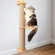 thumbnail image 1 of Marco de escalada para gatos, tablero rascador para gatos, juguete de ejercicio para gatos, suministros para mascotas, muebles para gatos, de, 1 of 10