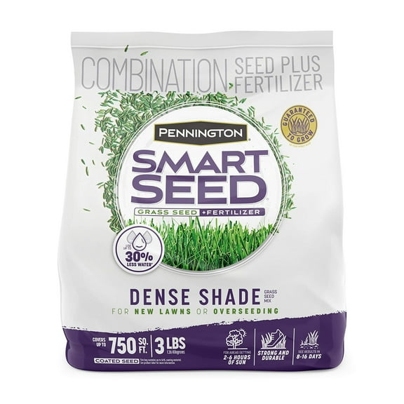 Pennington Smart Seed Dense Shade Grass MVR1 Mix 3 lb