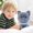 A002- Gray, variant on Gray Cat Stuffed Animal, 12 Inch Plush Toy with Soft Fabric and Lace Collar Design, for Boys Girls, for Bedroom Playroom Nursery Decor, for Cuddling Hugging Playing