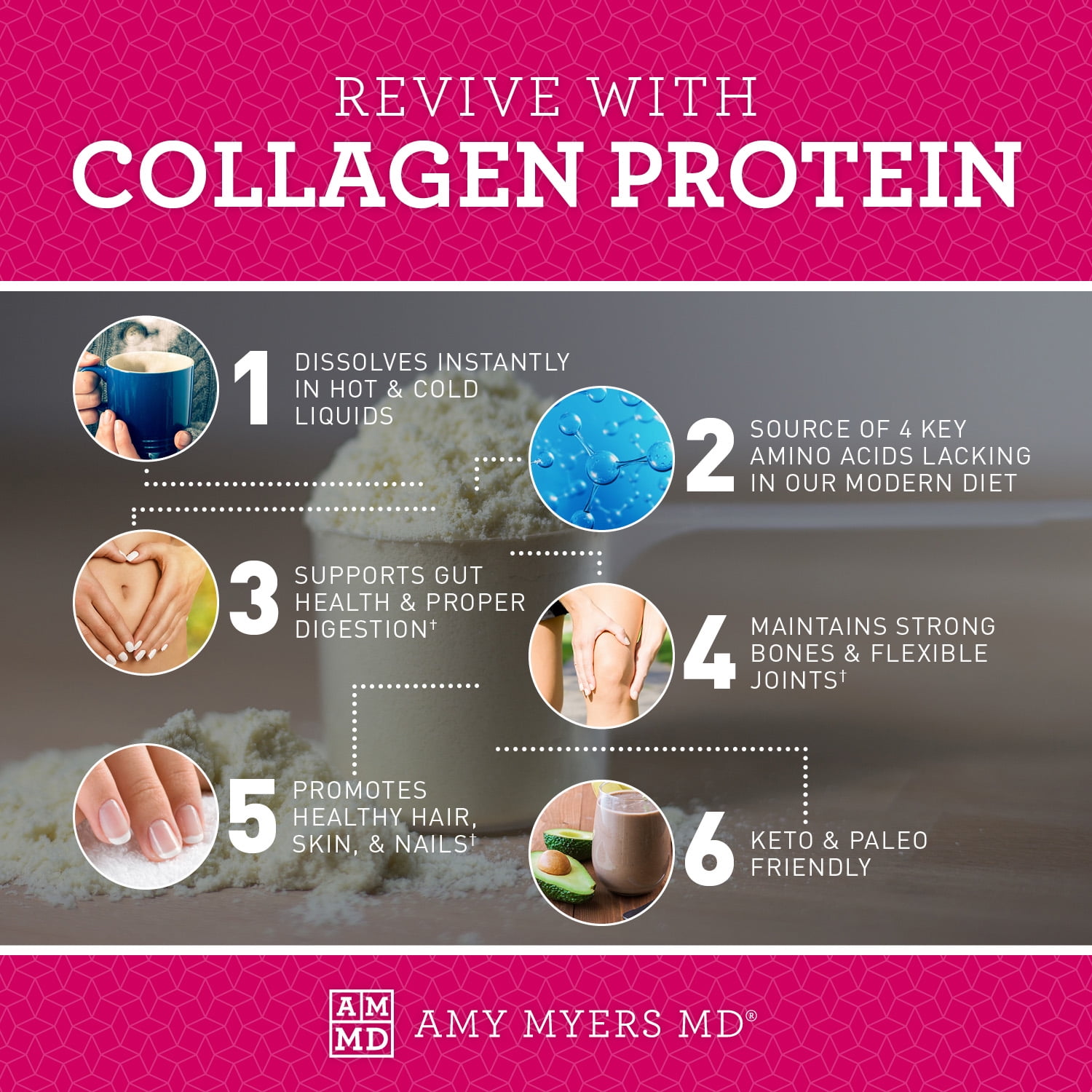 Amy Myers MD Collagen Protein Powder - Type 1 & 3 Collagen - Bovine Collagen to Support Healthy Hair, Skin & Nails - Gluten-Free, Dairy-Free & Non-Soy - 16.08 oz (38 Servings)