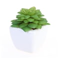 thumbnail image 3 of UPOUART Plantas Suculentas Artificiales Con Para De Hogar, 3 of 8