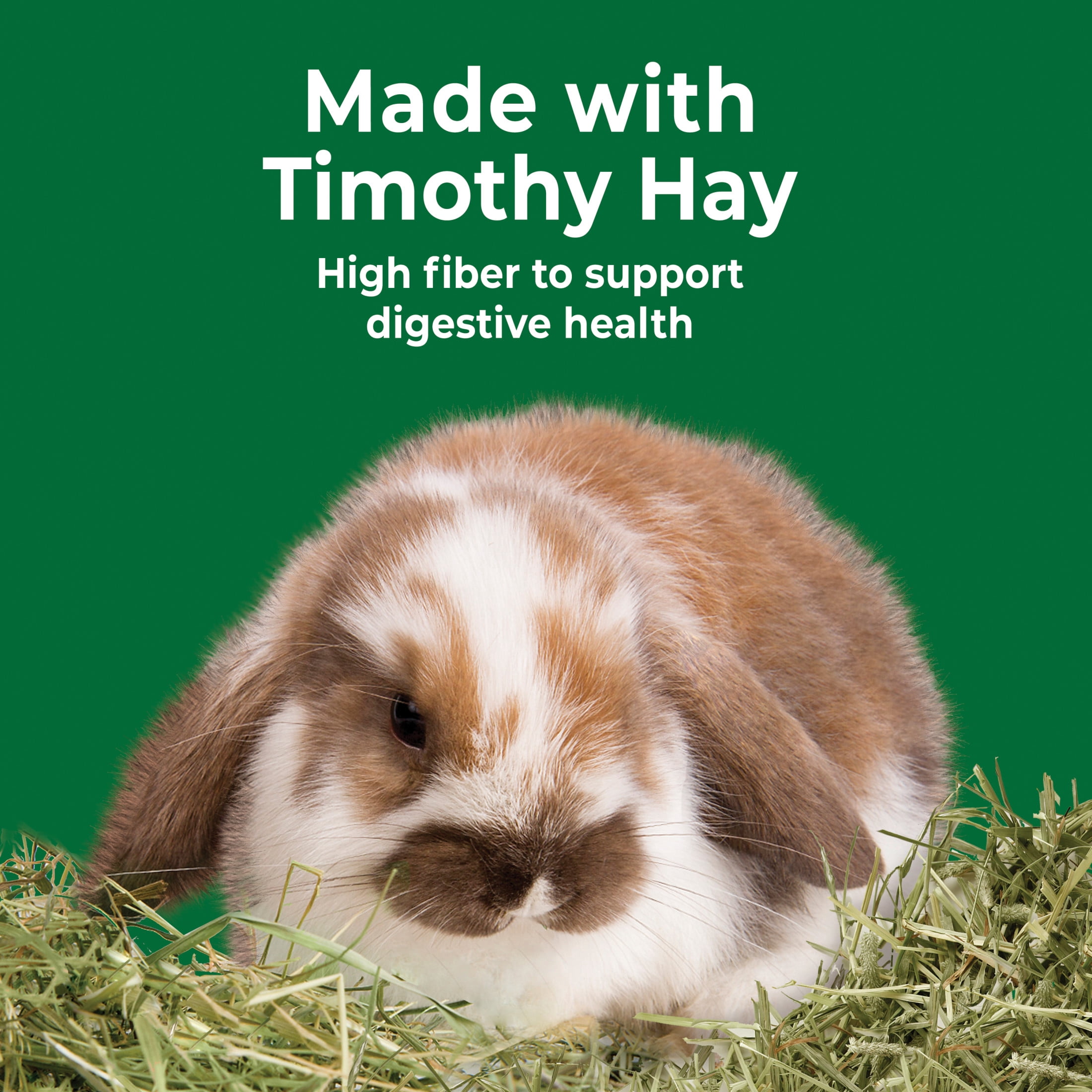 Kaytee Forti-Diet Wellness Snack Made with Timothy Hay and Vitamin C, 4 Ounces