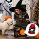 thumbnail image 1 of Ropa de Invierno para Perros Corkifa Dou, Ropa para Cachorros, Suéter Navideño de Punto, 1 of 6