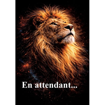 En attendant (Paperback)