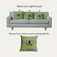 thumbnail image 6 of 16" x 16" Simply Daisy Brushfoot Butterfly Indoor/Outdoor Pillow, Apple Green Qty 1, 6 of 6