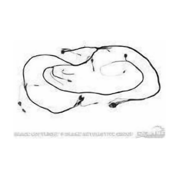 Scott Drake C5ZZ-14290-WG Headlight Wiring Harness with Fog Light Feed Built In