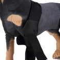 thumbnail image 4 of Soporte de Pierna de Perro Accesorios de Mascota Duradero - L, se describe Colco Soporte para la articulación de la rodilla del perro, 4 of 8