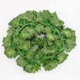 thumbnail image 5 of YATLTE Artificial Ivy Leaf Plants, Vine Hanging Garland Fake Foliage Flowers Home Kitchen Garden Office Wedding Wall Decor, Green for Home Decor Indoor Outdoors, 5 of 6