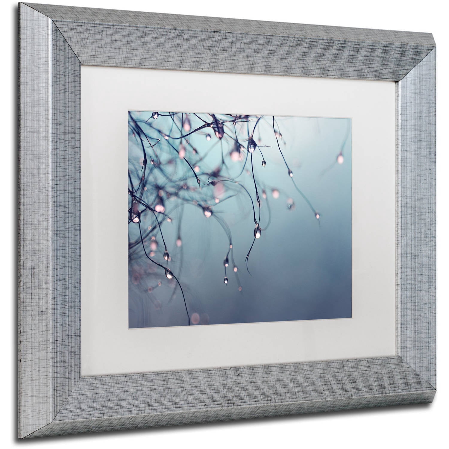 Trademark Fine Art "As Time Goes By" Canvas Art by Beata Czyzowska Young, White Matte, Silver Frame