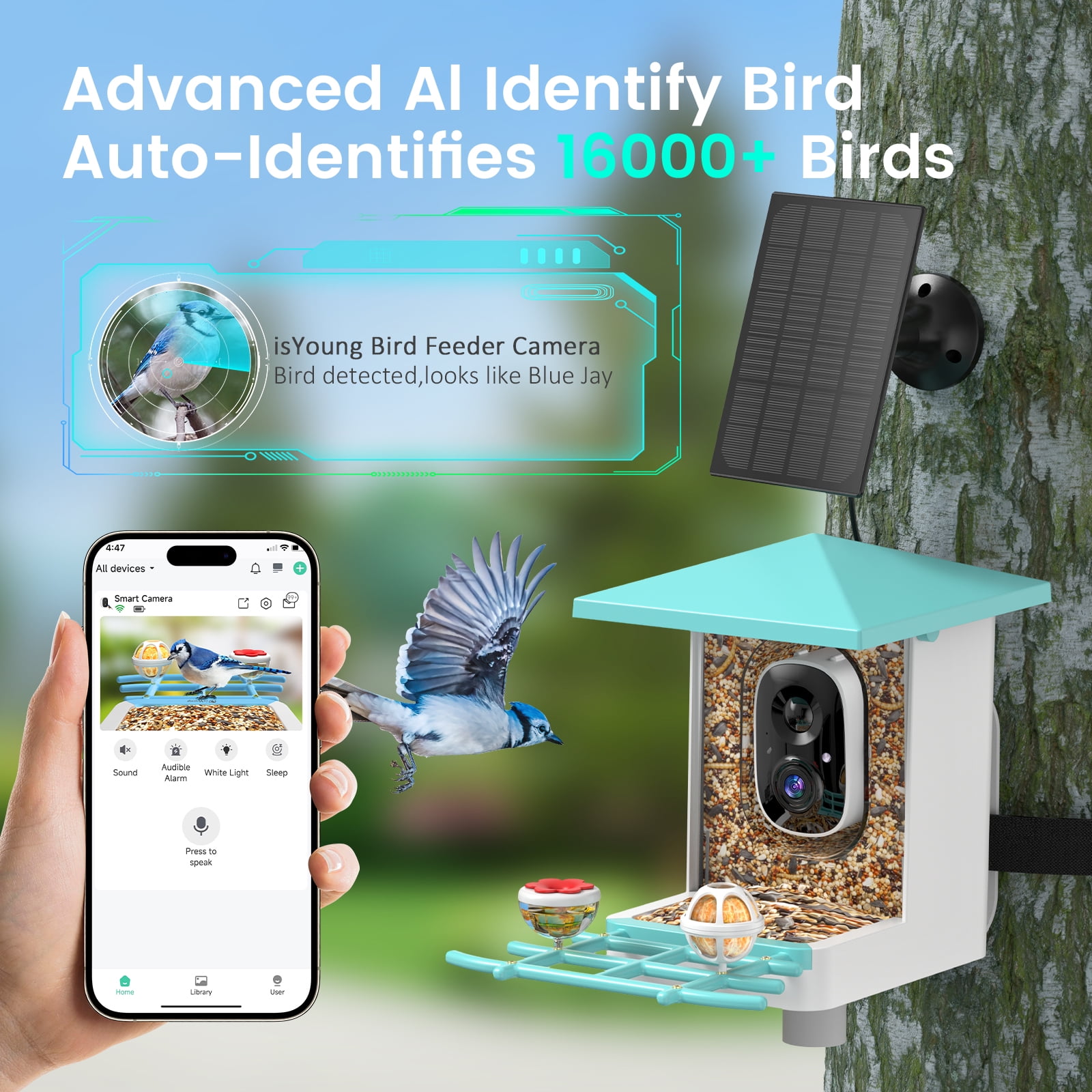 isYoung Bird Feeder with Camera, Smart Bird Camera with Solar Panel, AI Identify 16000+ Species, Automatic reminder recording, Ideal Gift