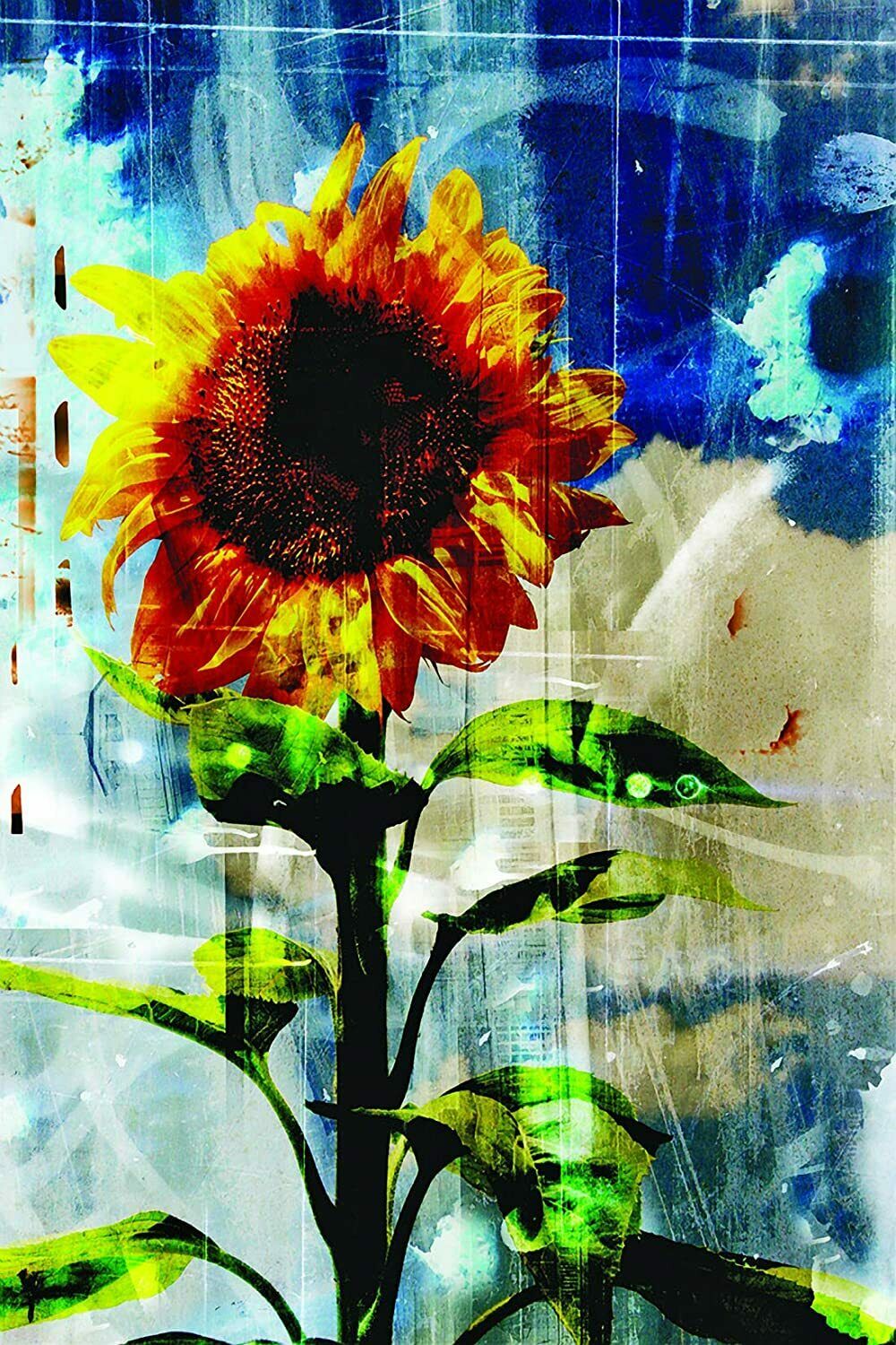 Sunflower Dreams Canvas Or Fine Print Wall Art Walmart Com Walmart Com