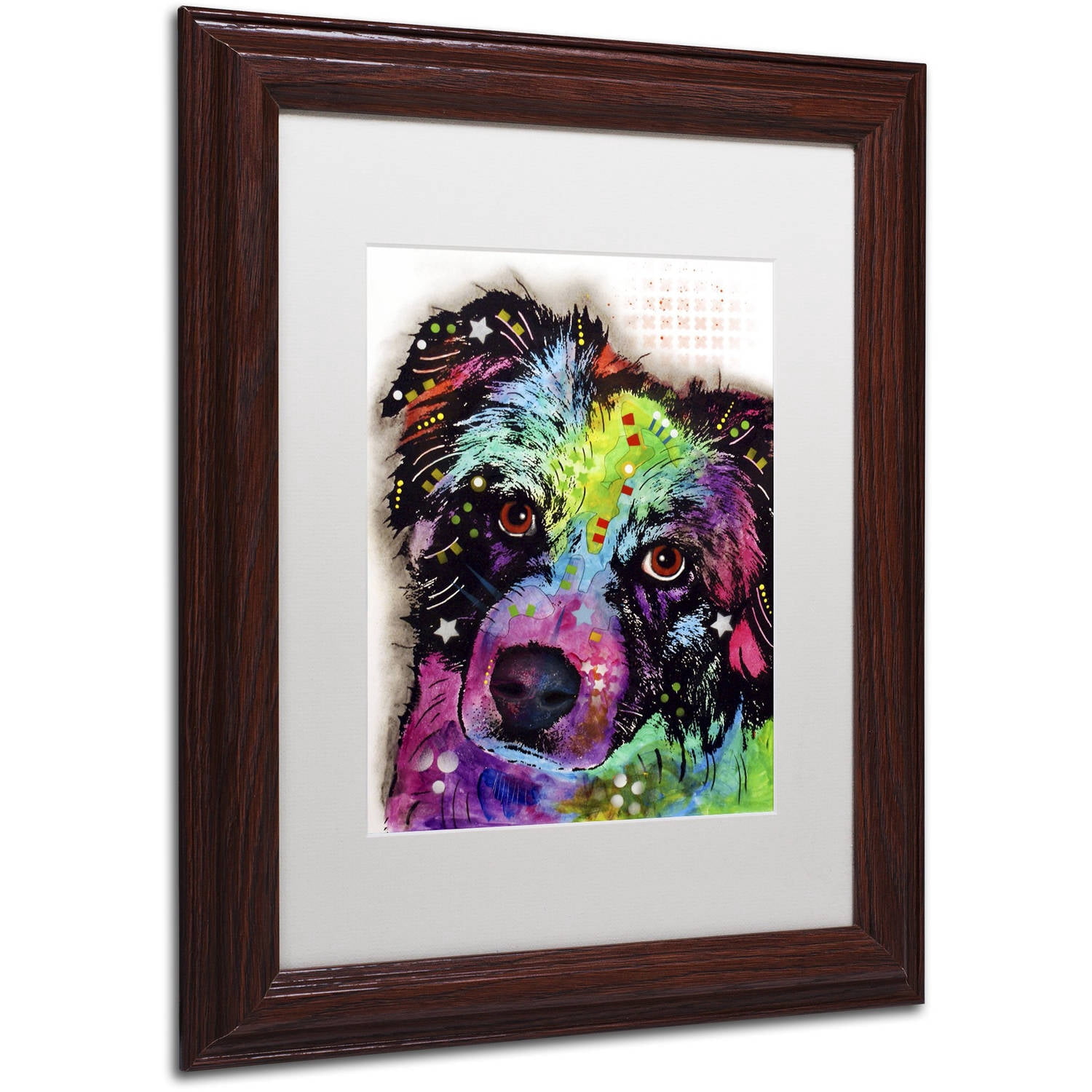 Trademark Fine Art "Aussie" Canvas Art by Dean Russo, White Matte, Wood Frame