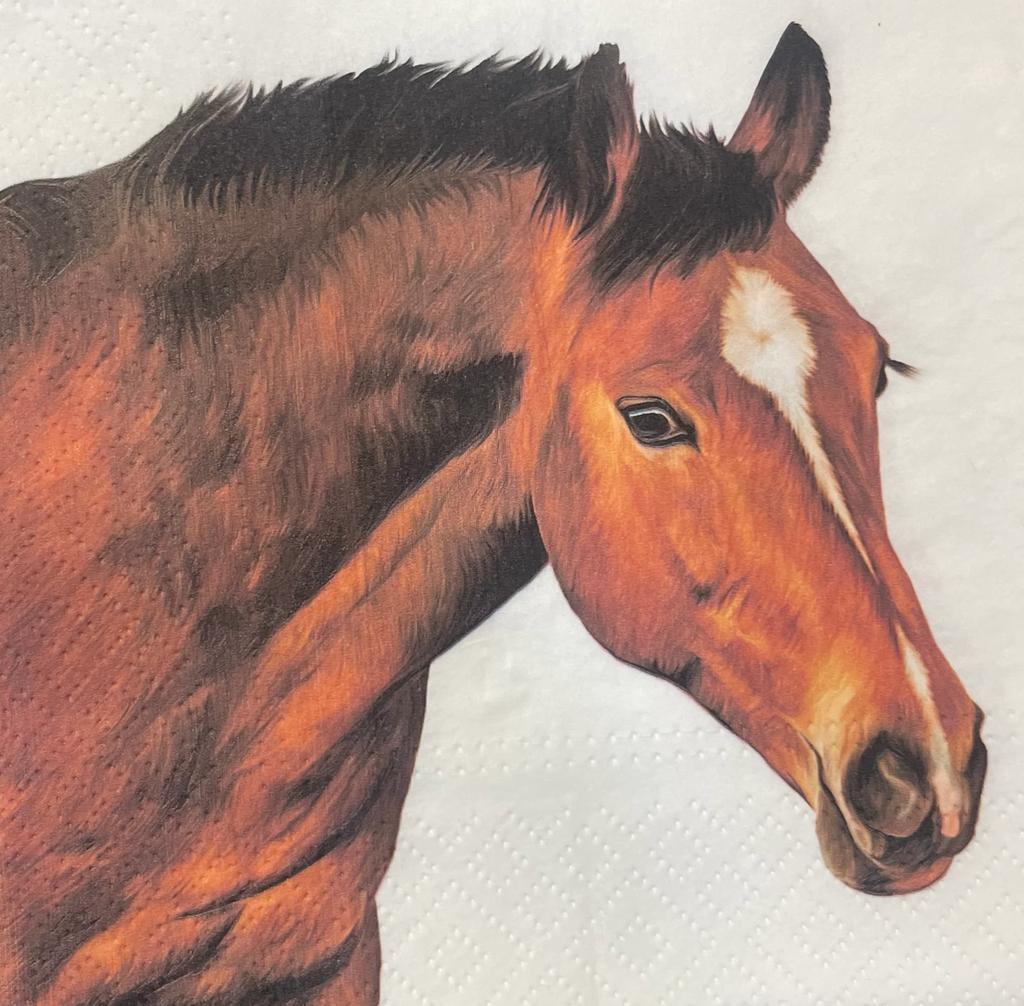Keep Unique Decoupage Horse Paper Napkins, Luncheon Decorative Animal