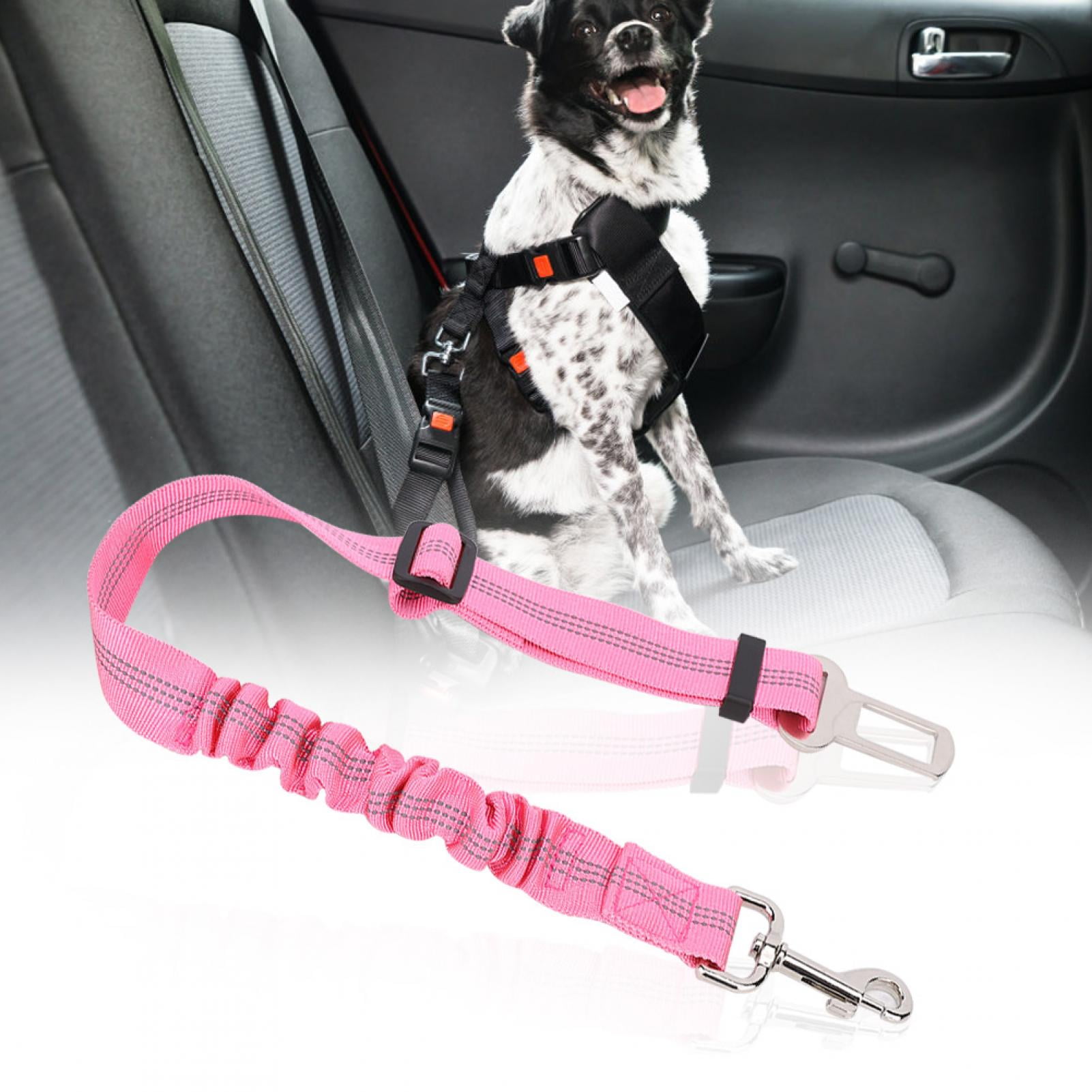 Rope dog harness discount