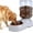 Gray-11L Dog Feeder, variant on Automatic Dog Water Dispenser, 11L Large Dog Water Bowl Dispenser, Automatic Pet Water Dispenser Gravity Water Bowl for Dogs, Large Dog Drinking Fountain