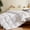 White, variant on Teler Goose Down Comforter Queen Size, Extra Fluffy White Duvet Insert, Ultra-Soft, Breathable , All Season Hotel Luxury Bedding Comforters, 4 Corner & Center Loops , Light Gray