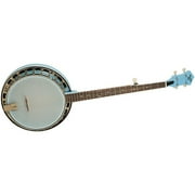 Recording King Starlight Series Resonator Banjo Sky