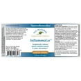 thumbnail image 5 of Native Remedies InflammaGo, 5 of 7