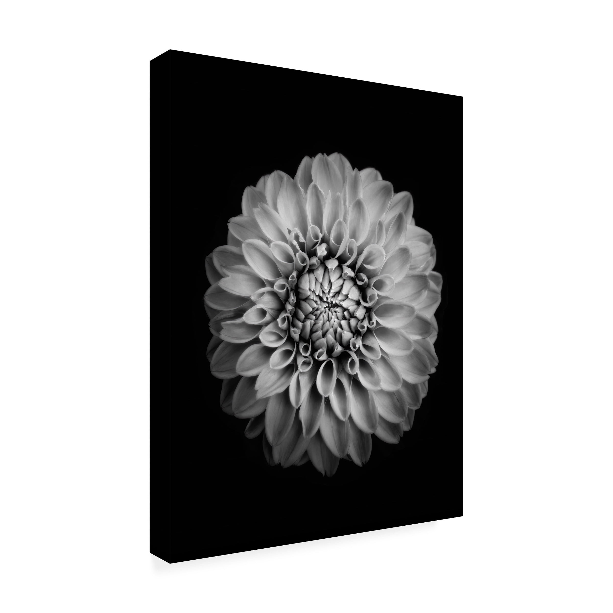 Trademark Fine Art Alex Zhao Marigold Canvas Wall Art