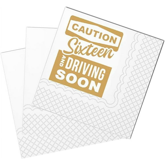 20pcs Funny 16th Birthday Cocktail Napkins, Sweet 16th Birthday Paper Napkins for Boys Girls Sixteen 16th Bday Decor , 5x5" 5"x5"