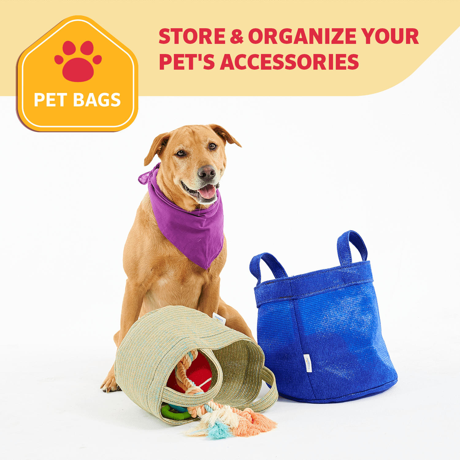 Coolaroo Dog Storage Toy Bin with Handles, 2 Pack Assorted Medium & Large Sizes, Aquatic Blue