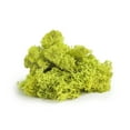 thumbnail image 2 of SuperMoss Preserved Chartreuse Reindeer Moss, 12 Pack, 2 of 2