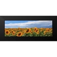 thumbnail image 2 of Fulvio, Ferrua 24x11 Black Modern Framed Museum Art Print Titled - Girasoli in Val DOrcia, 2 of 5